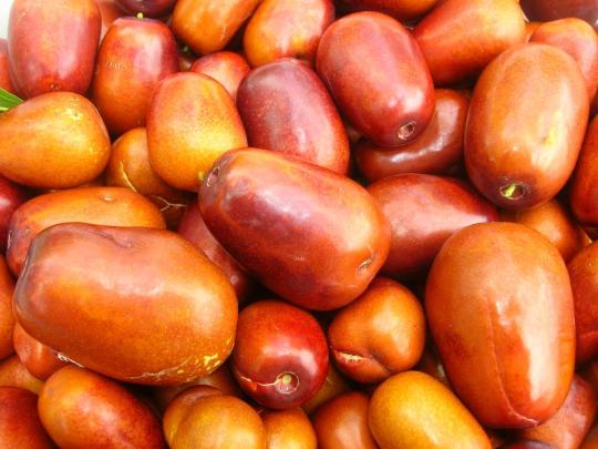 Зизифус "ХУРМАН" (унаби)